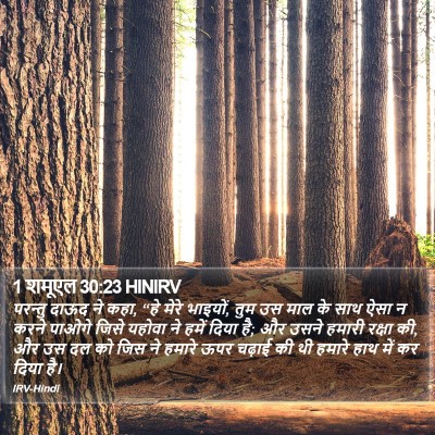 1 शमूएल 30:23 HINIRV Bible Verse Image