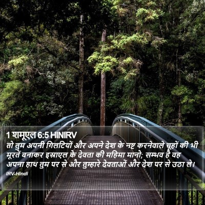 1 शमूएल 6:5 HINIRV Bible Verse Image