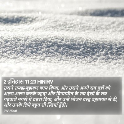 2 इतिहास 11:23 HINIRV Bible Verse Image