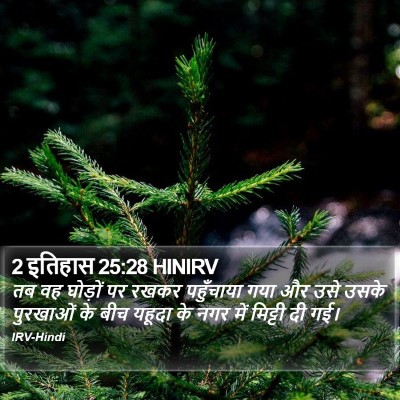 2 इतिहास 25:28 HINIRV Bible Verse Image