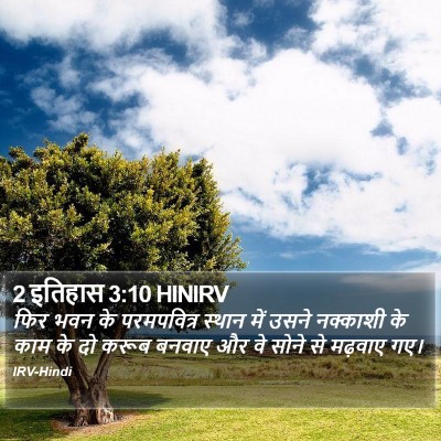 2 इतिहास 3:10 HINIRV Bible Verse Image