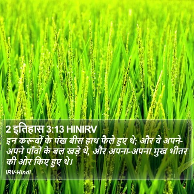 2 इतिहास 3:13 HINIRV Bible Verse Image