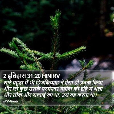 2 इतिहास 31:20 HINIRV Bible Verse Image
