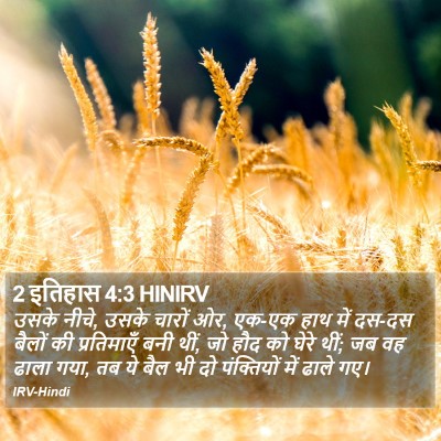 2 इतिहास 4:3 HINIRV Bible Verse Image