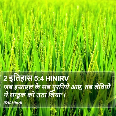 2 इतिहास 5:4 HINIRV Bible Verse Image