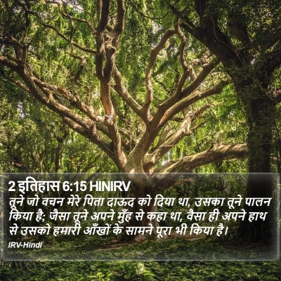 2 इतिहास 6:15 HINIRV Bible Verse Image