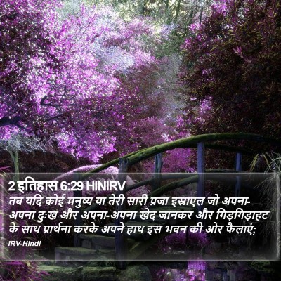 2 इतिहास 6:29 HINIRV Bible Verse Image