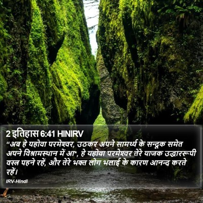 2 इतिहास 6:41 HINIRV Bible Verse Image