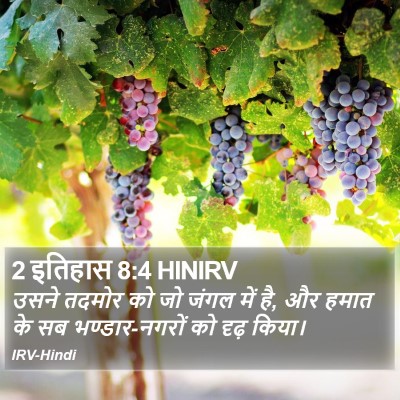 2 इतिहास 8:4 HINIRV Bible Verse Image