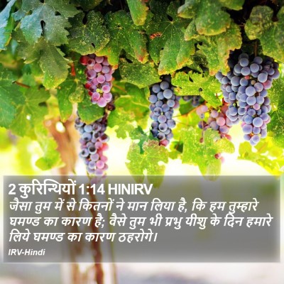 2 कुरिन्थियों 1:14 HINIRV Bible Verse Image