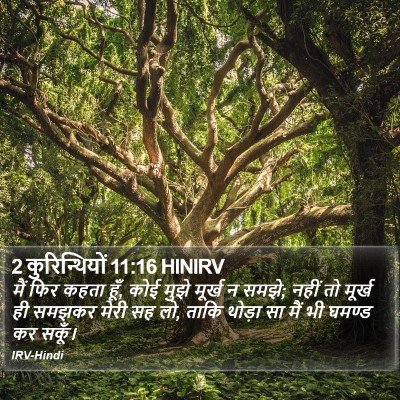 2 कुरिन्थियों 11:16 HINIRV Bible Verse Image