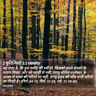 2 कुरिन्थियों 3:3 HINIRV Bible Verse Image