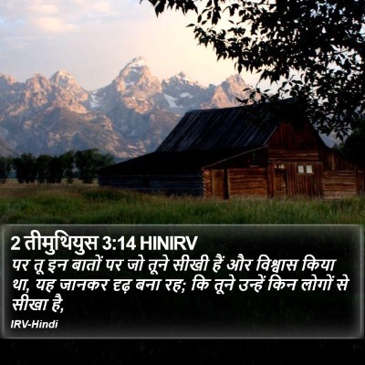 2 तीमुथियुस 3:14 HINIRV Bible Verse Image