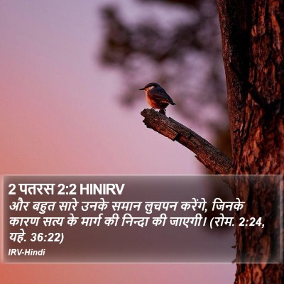 2 पतरस 2:2 HINIRV Bible Verse Image