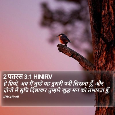 2 पतरस 3:1 HINIRV Bible Verse Image