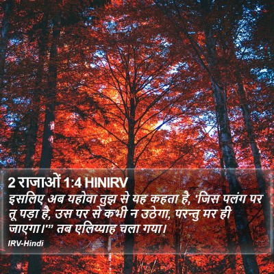 2 राजाओं 1:4 HINIRV Bible Verse Image