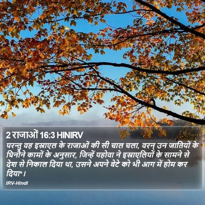 2 राजाओं 16:3 HINIRV Bible Verse Image