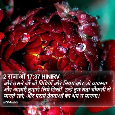 2 राजाओं 17:37 HINIRV Bible Verse Image
