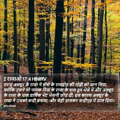 2 राजाओं 17:4 HINIRV Bible Verse Image