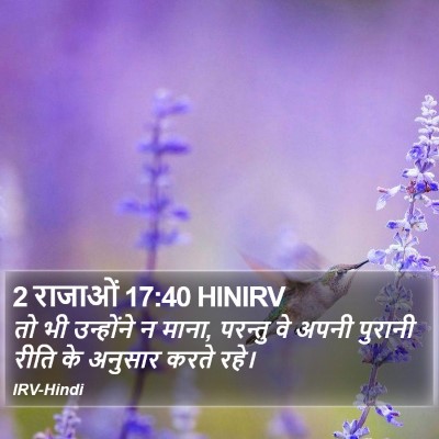 2 राजाओं 17:40 HINIRV Bible Verse Image