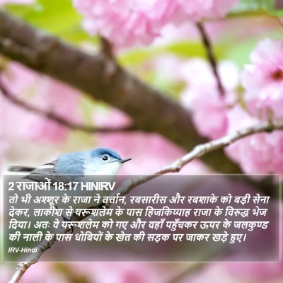 2 राजाओं 18:17 HINIRV Bible Verse Image