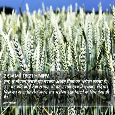 2 राजाओं 18:21 HINIRV Bible Verse Image