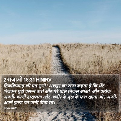 2 राजाओं 18:31 HINIRV Bible Verse Image