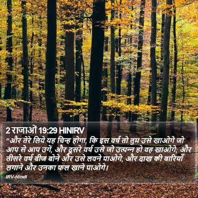 2 राजाओं 19:29 HINIRV Bible Verse Image