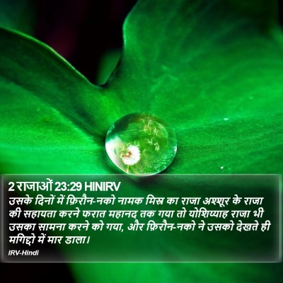 2 राजाओं 23:29 HINIRV Bible Verse Image