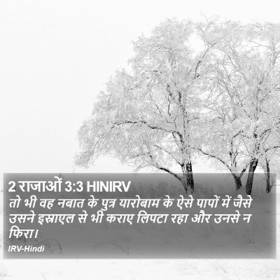 2 राजाओं 3:3 HINIRV Bible Verse Image