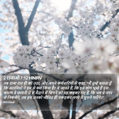 2 राजाओं 7:12 HINIRV Bible Verse Image