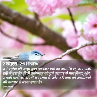 2 शमूएल 12:9 HINIRV Bible Verse Image