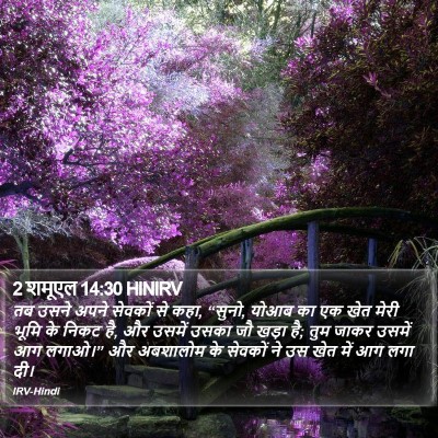 2 शमूएल 14:30 HINIRV Bible Verse Image