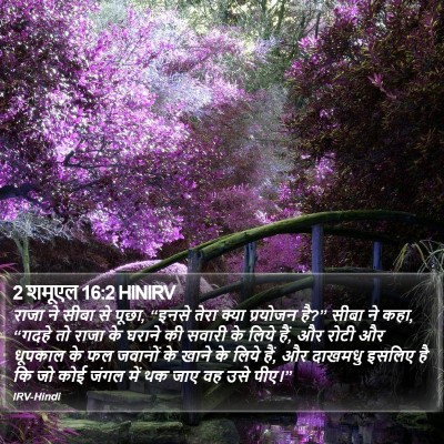 2 शमूएल 16:2 HINIRV Bible Verse Image