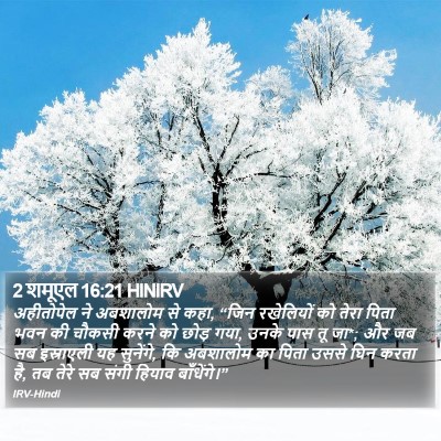 2 शमूएल 16:21 HINIRV Bible Verse Image