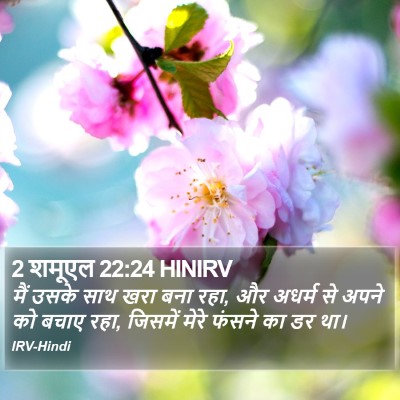 2 शमूएल 22:24 HINIRV Bible Verse Image