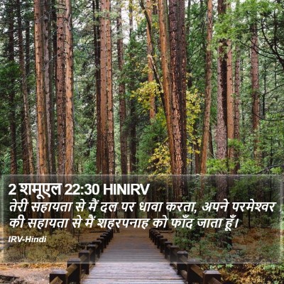 2 शमूएल 22:30 HINIRV Bible Verse Image