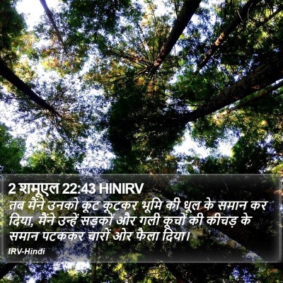 2 शमूएल 22:43 HINIRV Bible Verse Image