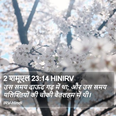 2 शमूएल 23:14 HINIRV Bible Verse Image