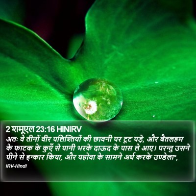 2 शमूएल 23:16 HINIRV Bible Verse Image