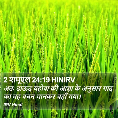 2 शमूएल 24:19 HINIRV Bible Verse Image