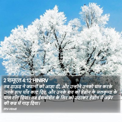 2 शमूएल 4:12 HINIRV Bible Verse Image
