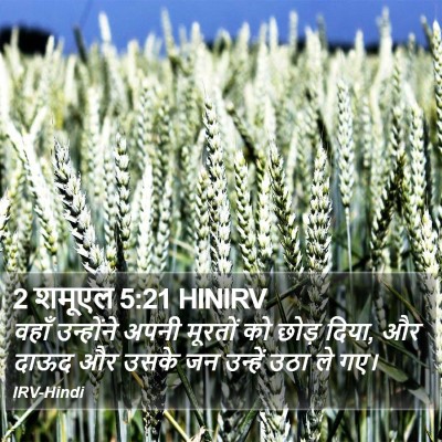 2 शमूएल 5:21 HINIRV Bible Verse Image