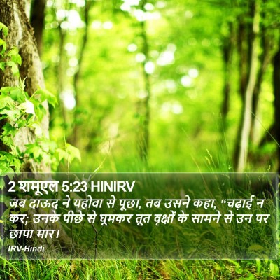 2 शमूएल 5:23 HINIRV Bible Verse Image