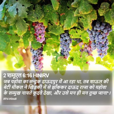 2 शमूएल 6:16 HINIRV Bible Verse Image