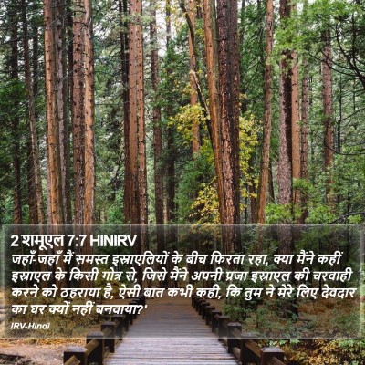 2 शमूएल 7:7 HINIRV Bible Verse Image