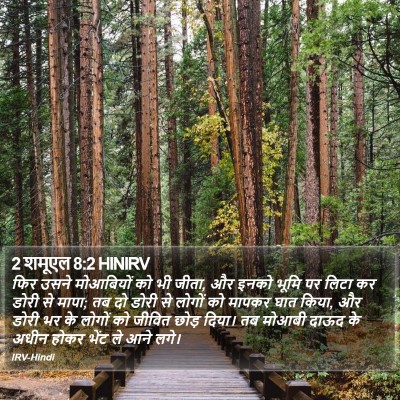 2 शमूएल 8:2 HINIRV Bible Verse Image