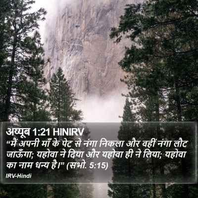 अय्यूब 1:21 HINIRV Bible Verse Image