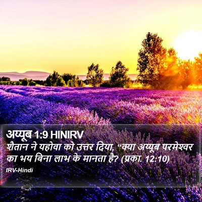 अय्यूब 1:9 HINIRV Bible Verse Image