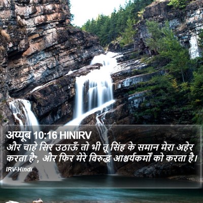 अय्यूब 10:16 HINIRV Bible Verse Image